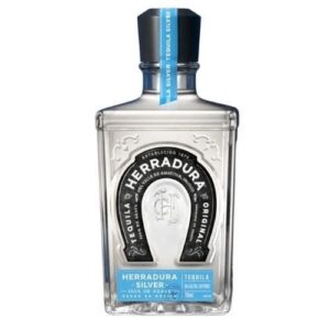 HERRADURA PLATA